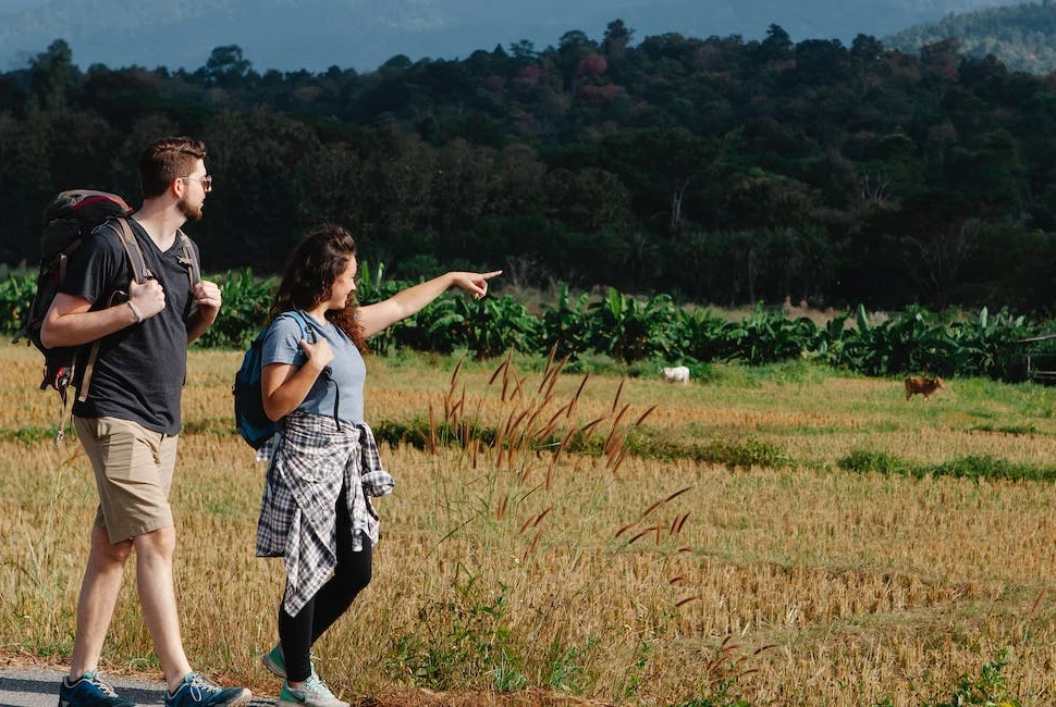 Escape from South Point: Memorable Road Trips to Take from the City